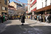 Narren, Hexen und tolle Stimmung beim Böblinger Rosenmontagsumzug.