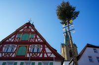 Die Narren haben in Renningen das Rathaus gestürmt.