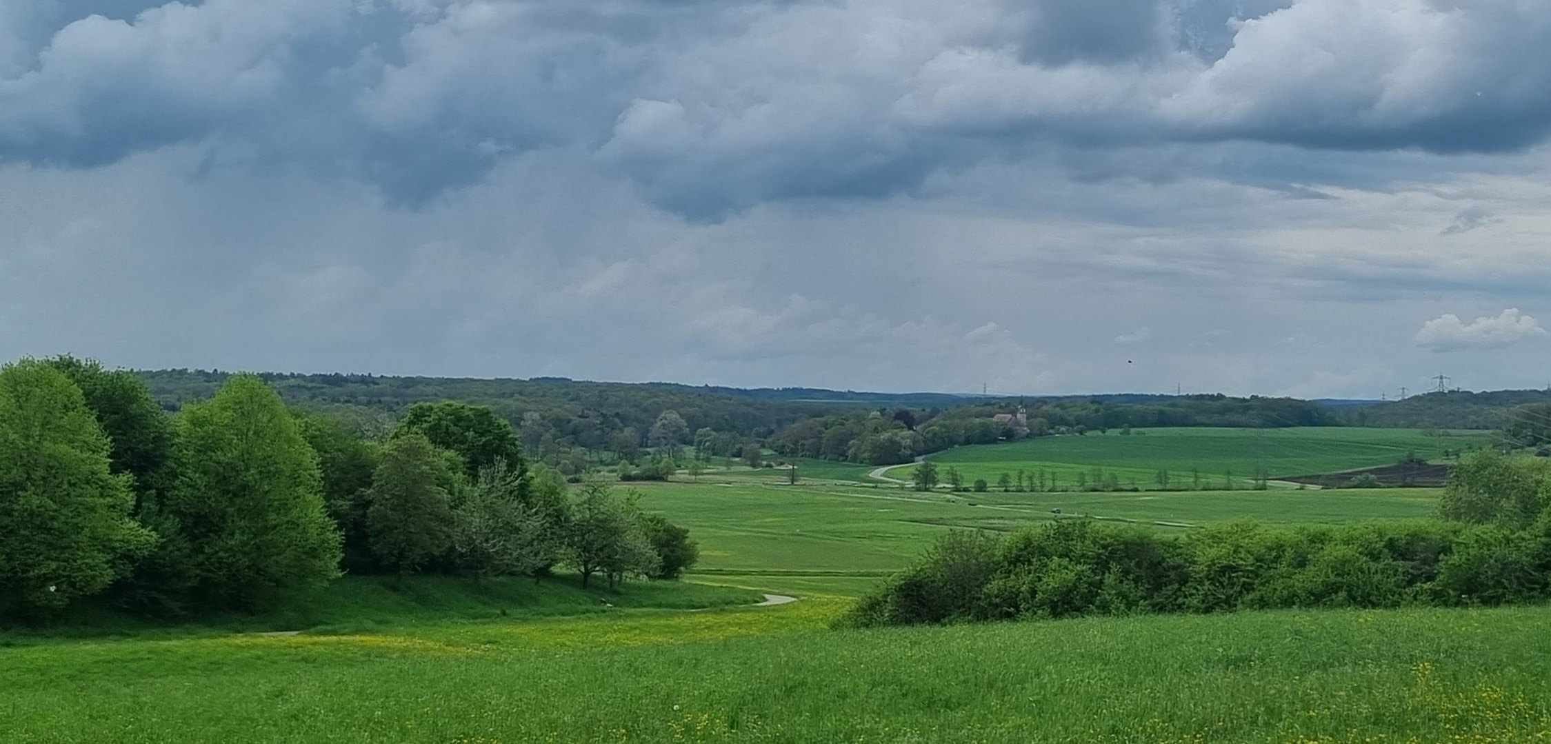 In einem von der Stadt Holzgerlingen angelegten Habitat im Maurener Tal erwartet ein Kiebitz-Pärchen Nachwuchs. Damit aus den Eiern auch Küken schlüpfen können, ist es wichtig, dass die Vögel ungestört brüten können.  Bild Hamann