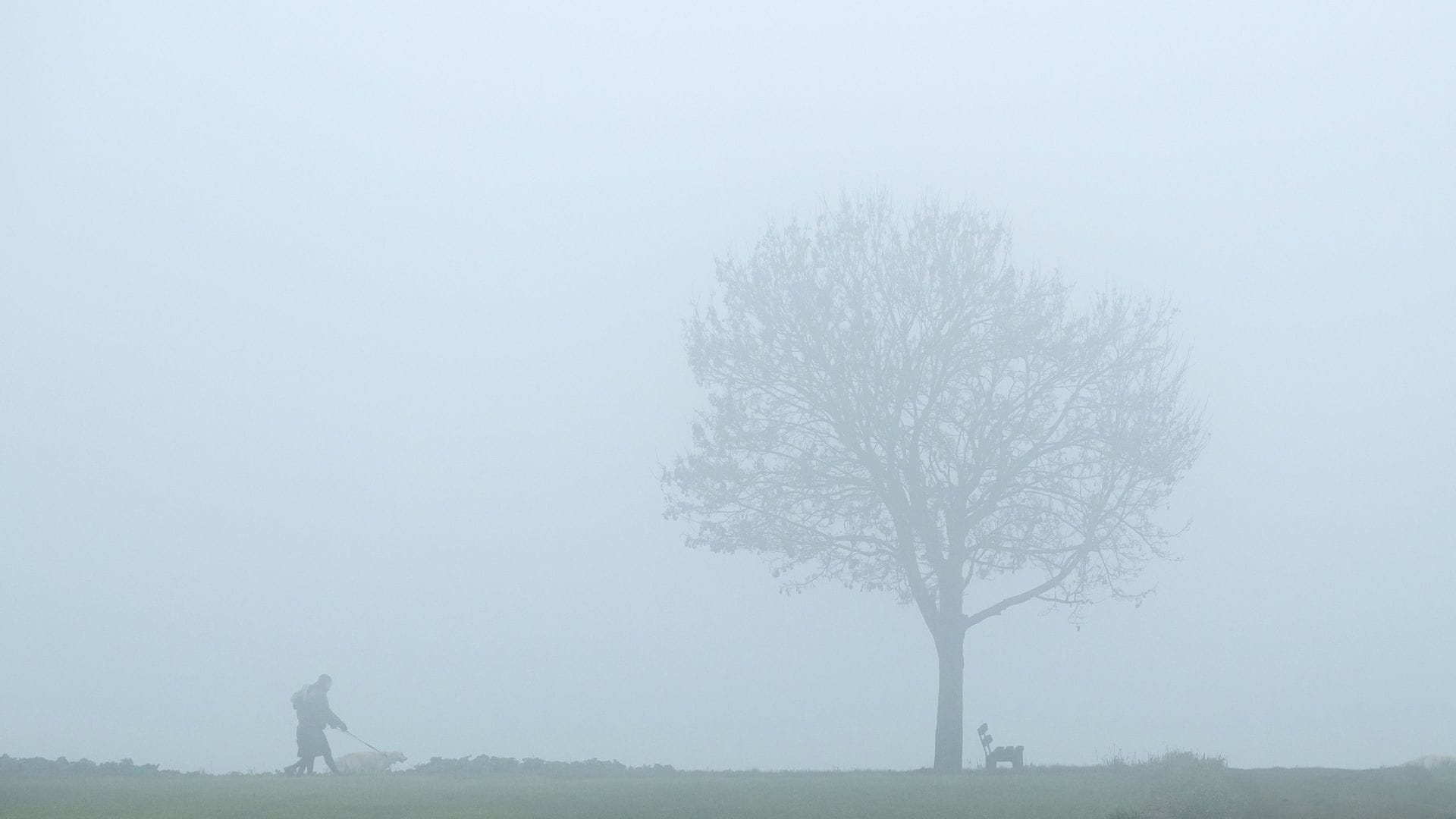 In der Nacht zum Dienstag rechnen DWD-Meteorologen an Rhein, Donau und Bodensee erneut mit viel Nebel oder Hochnebel. (Symbolbild)