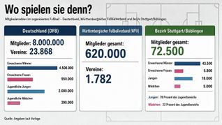 Grundlage für die Grafik sind Zahlen des DFB und WFV.