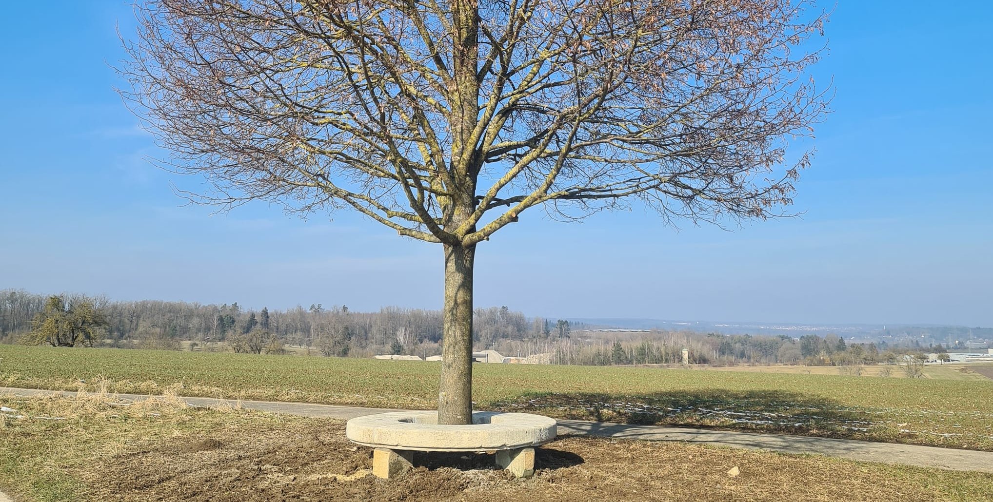 Die Steinbank bei Maichingen.