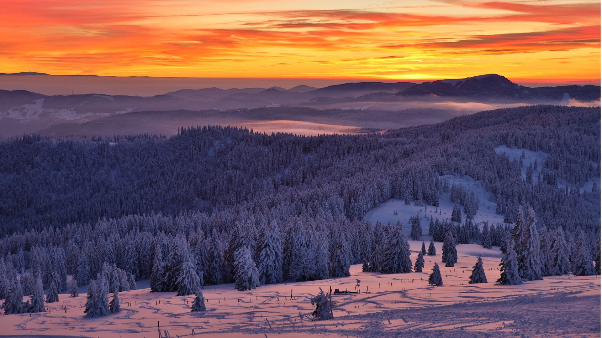 Blick vom Gipfel des Feldbergs Schwarzwald auf die untergehende Abendsonne.