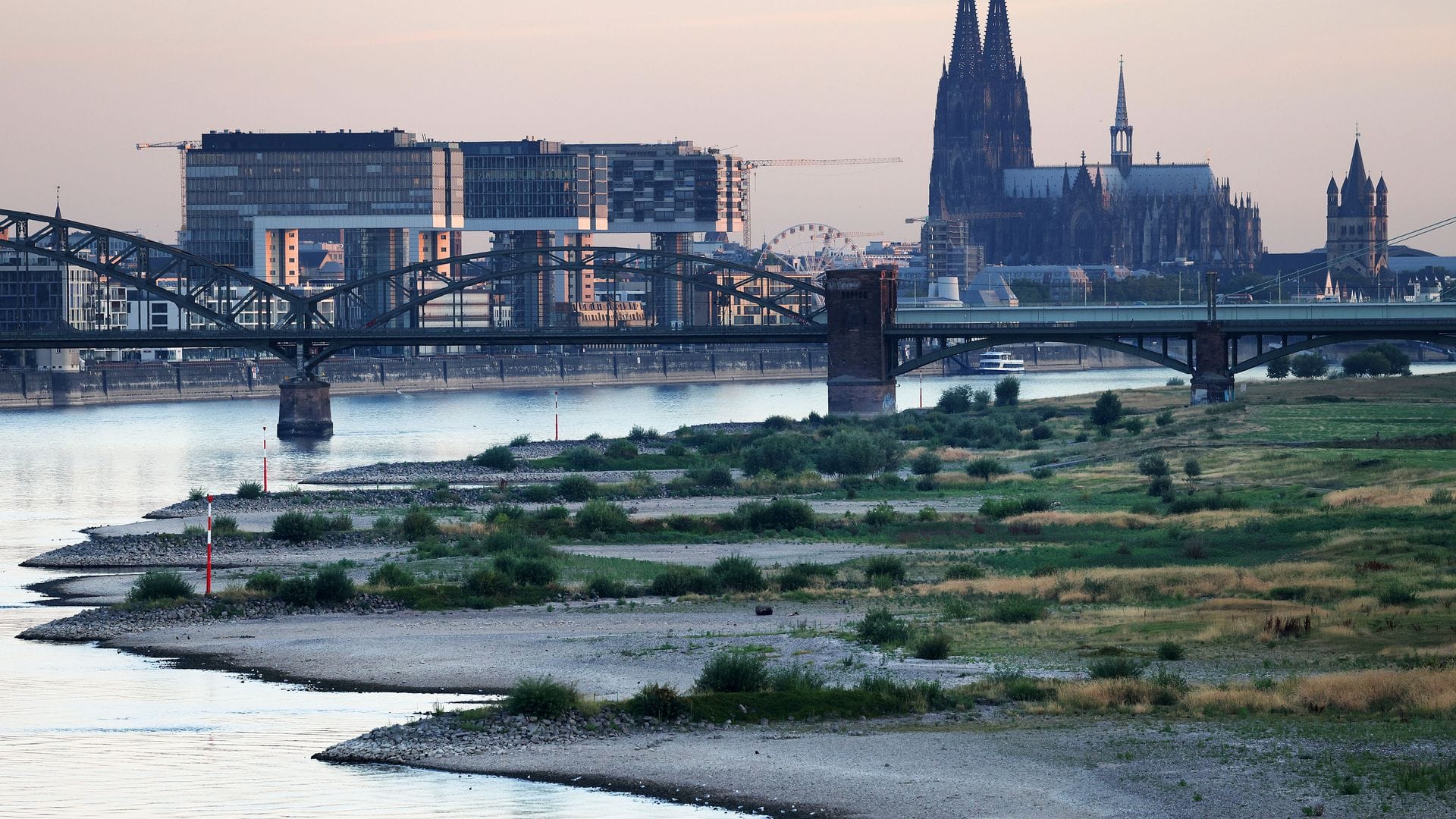 Köln wählt am Sonntag einen neuen Oberbürgermeister bzw. eine neue Oberbürgermeisterin. (Archivbild)