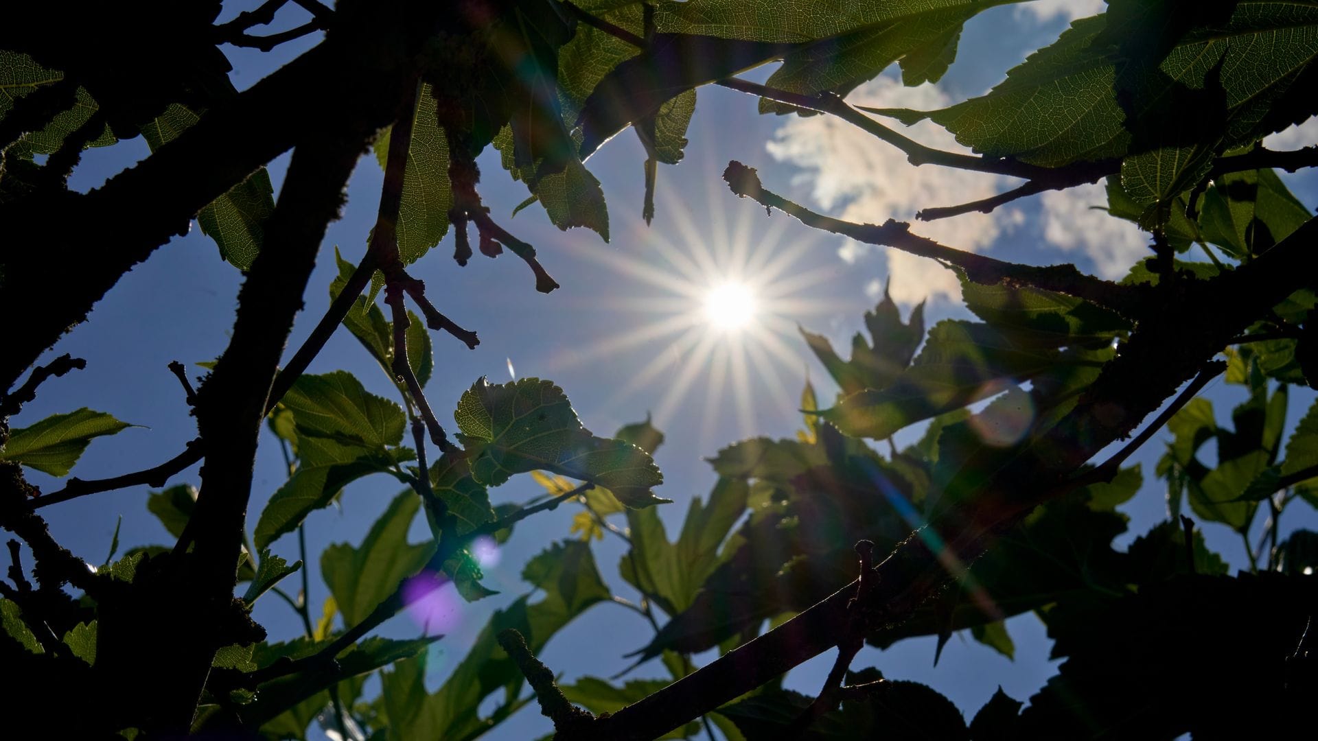 Über Temperaturen um die 30 Grad kann sich vor allem der Süden in den kommenden Tagen freuen. (Archivbild)