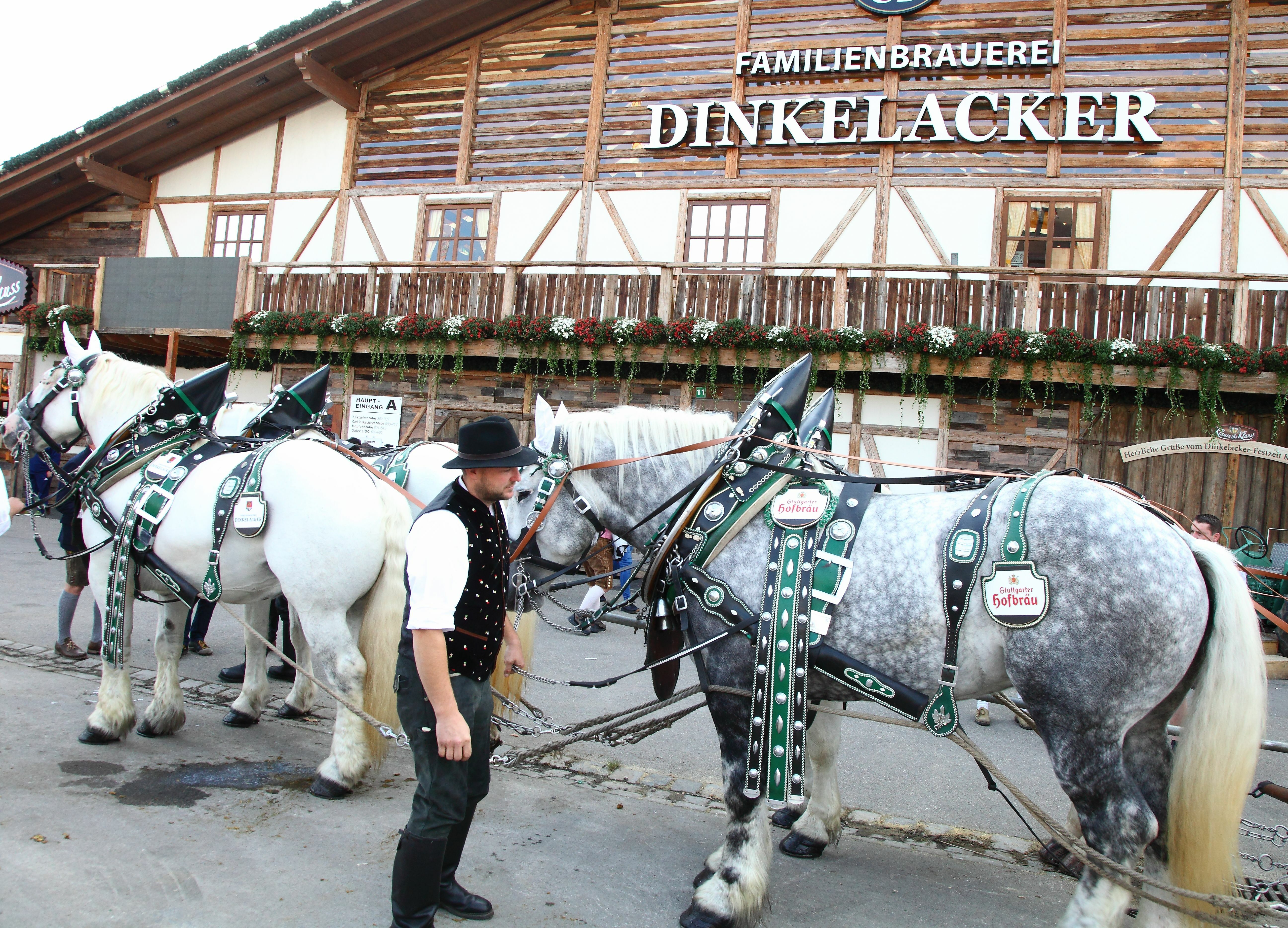 Bis 9. Oktober wird auf dem Cannstatter Volksfest gefeiert. Bild: Helmut Ulrich