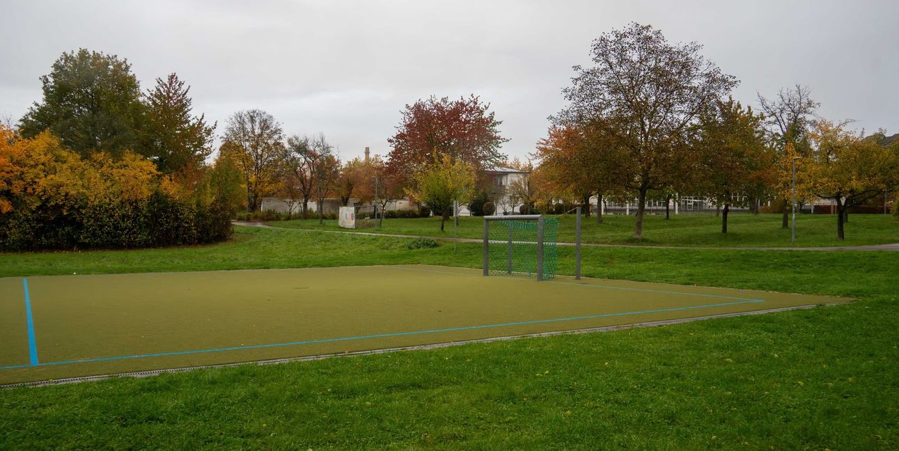 Jugendliche, die den Bolzplatz regelmäßig nutzen, hatten sich an den Jugendgemeinderat gewendet, da die Bälle ohne Ballfangzaun immer wieder über den Platz hinausschießen.