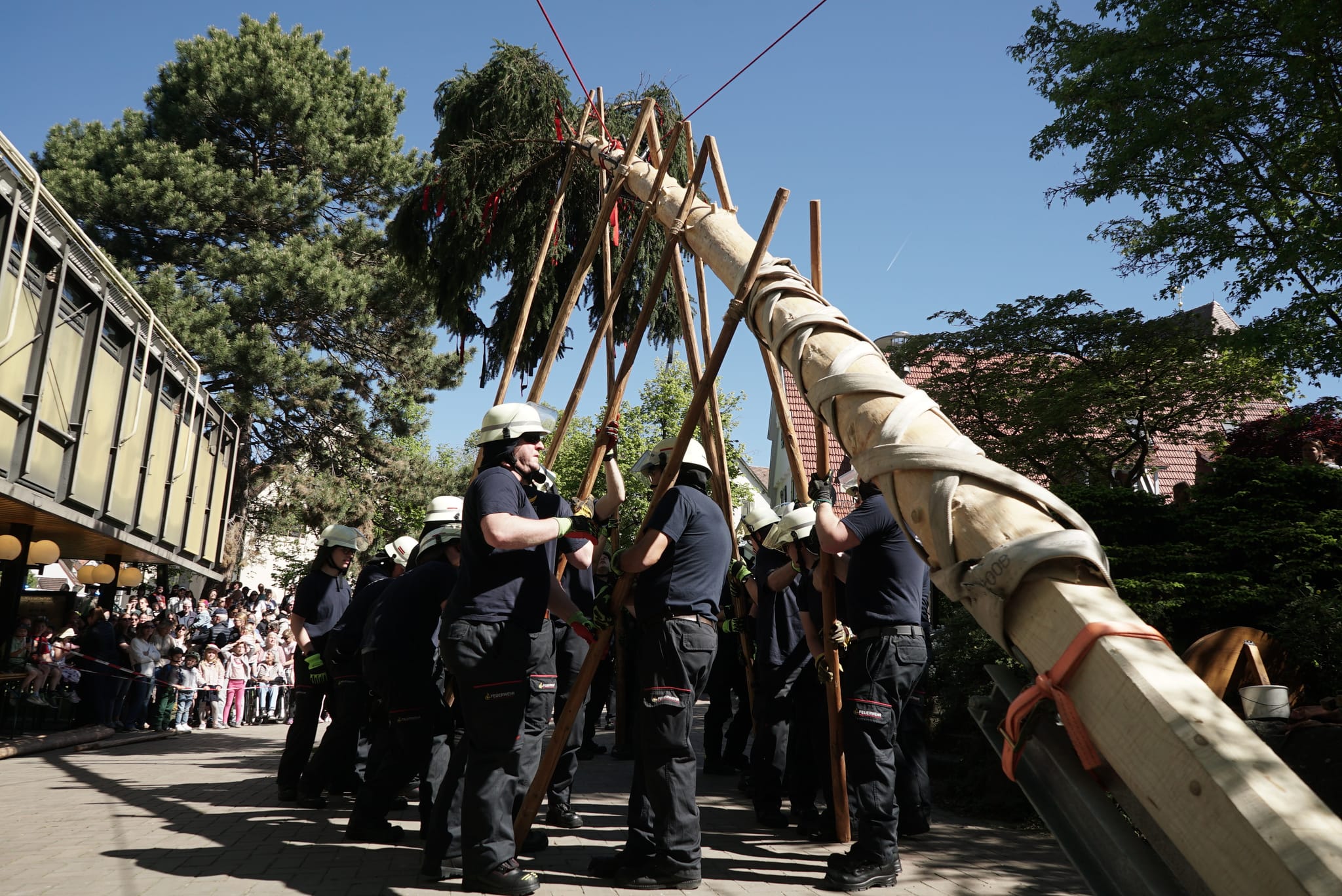 Maichinger Maibaum