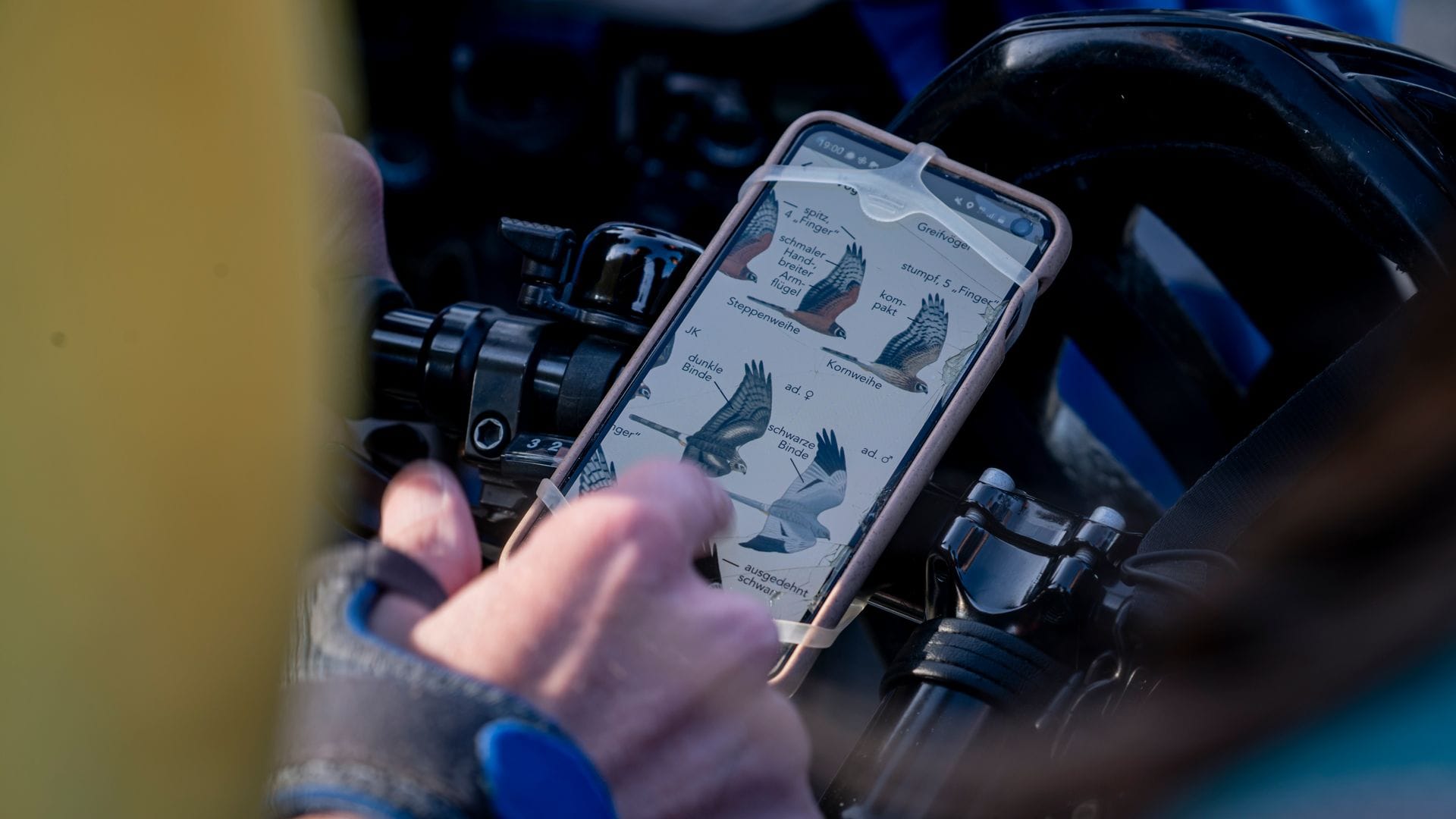 Vogel-Bestimmung via Smartphone.