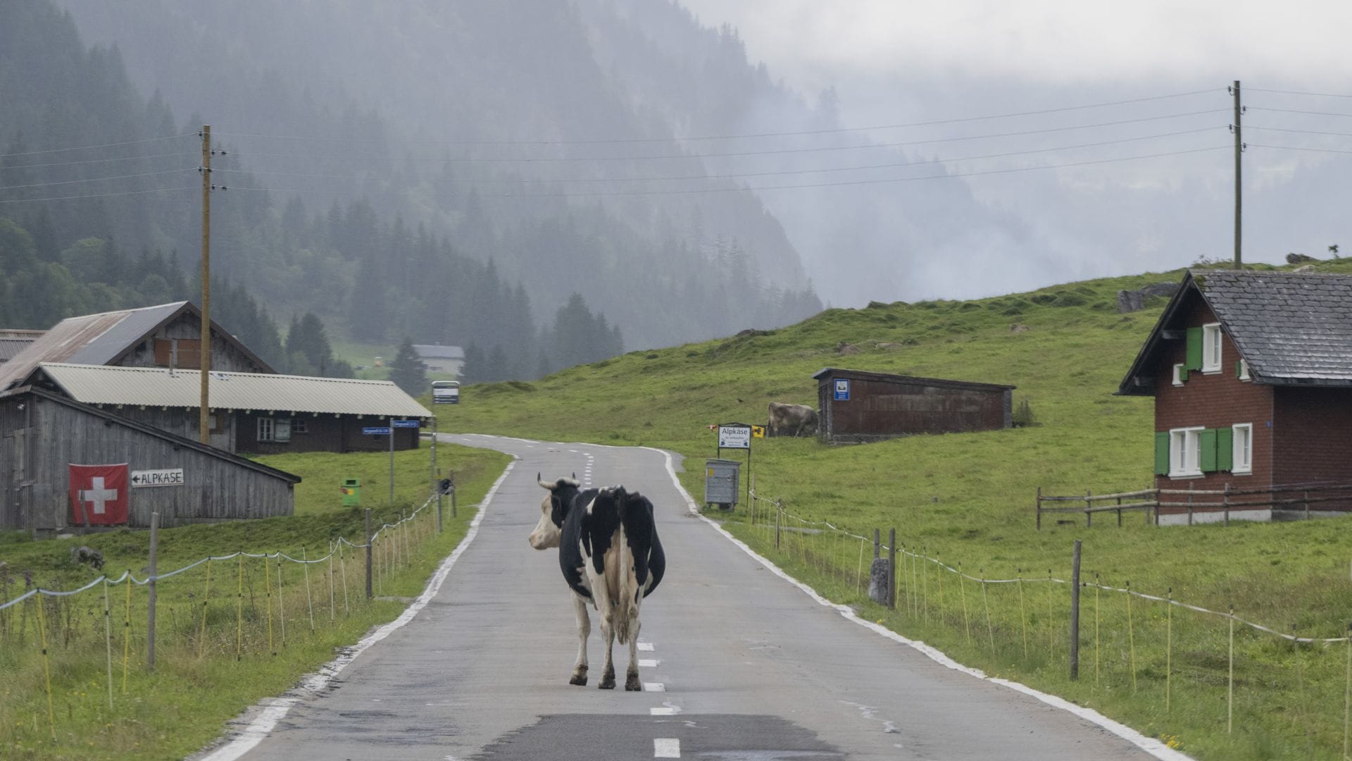 Deutsche Auswanderer zieht es häufig in die Schweiz.