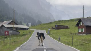 Deutsche Auswanderer zieht es häufig in die Schweiz.