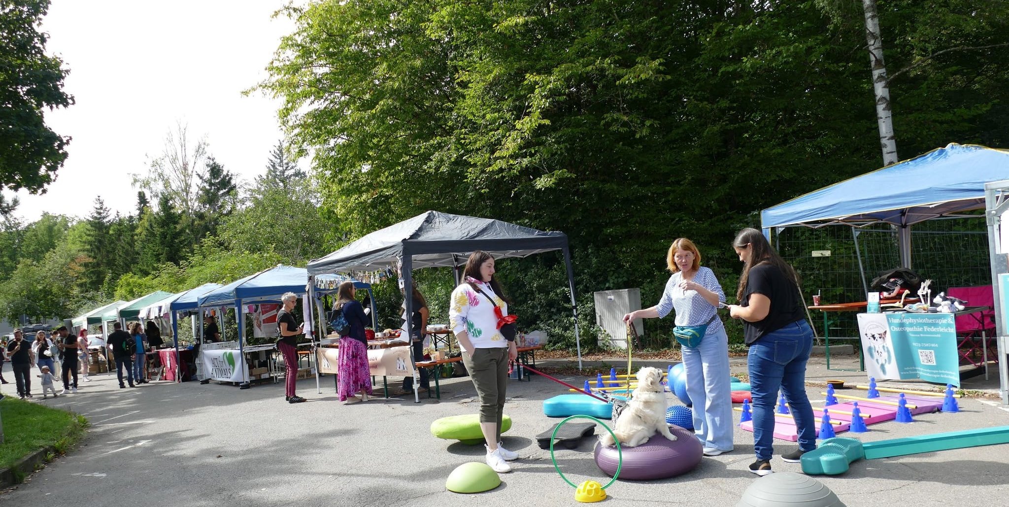 Das Tierheim lädt zum Frühlingsfest.