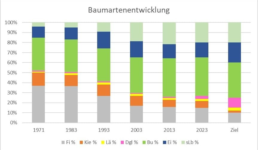 Baumartenentwicklung im Sindelfinger Stadtwald.