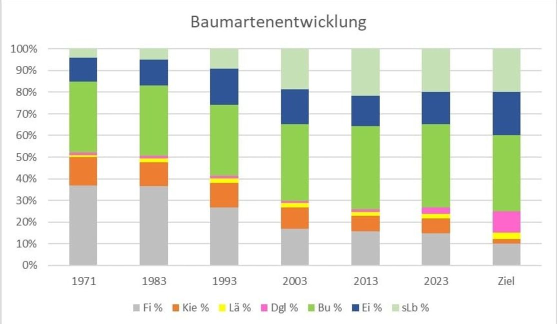 Baumartenentwicklung im Sindelfinger Stadtwald.