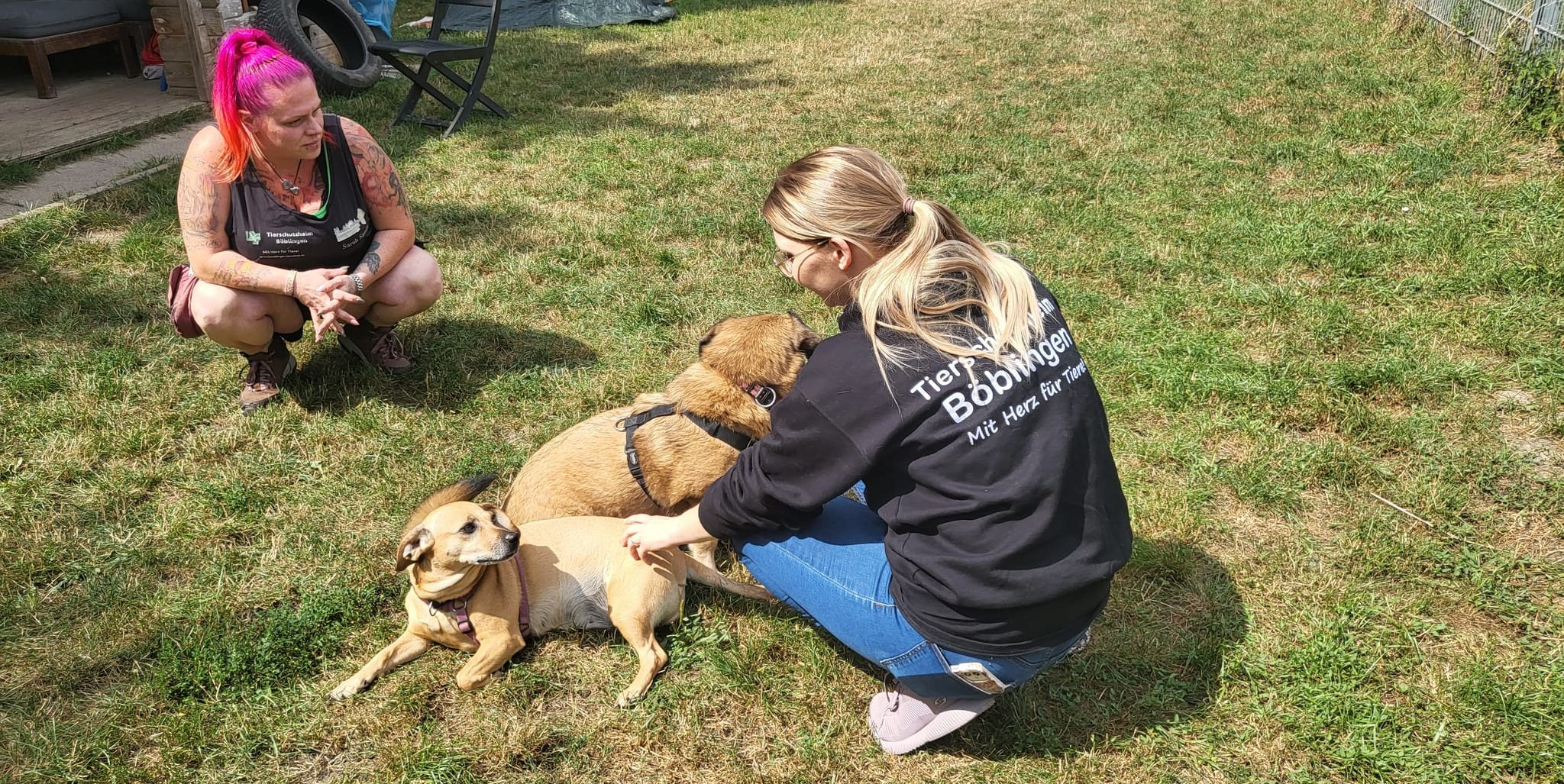 Sarah Samira Rüster (links) und Yvonne Schramm kümmern sich um die Leitung des Tierschutzheim Böblingen.