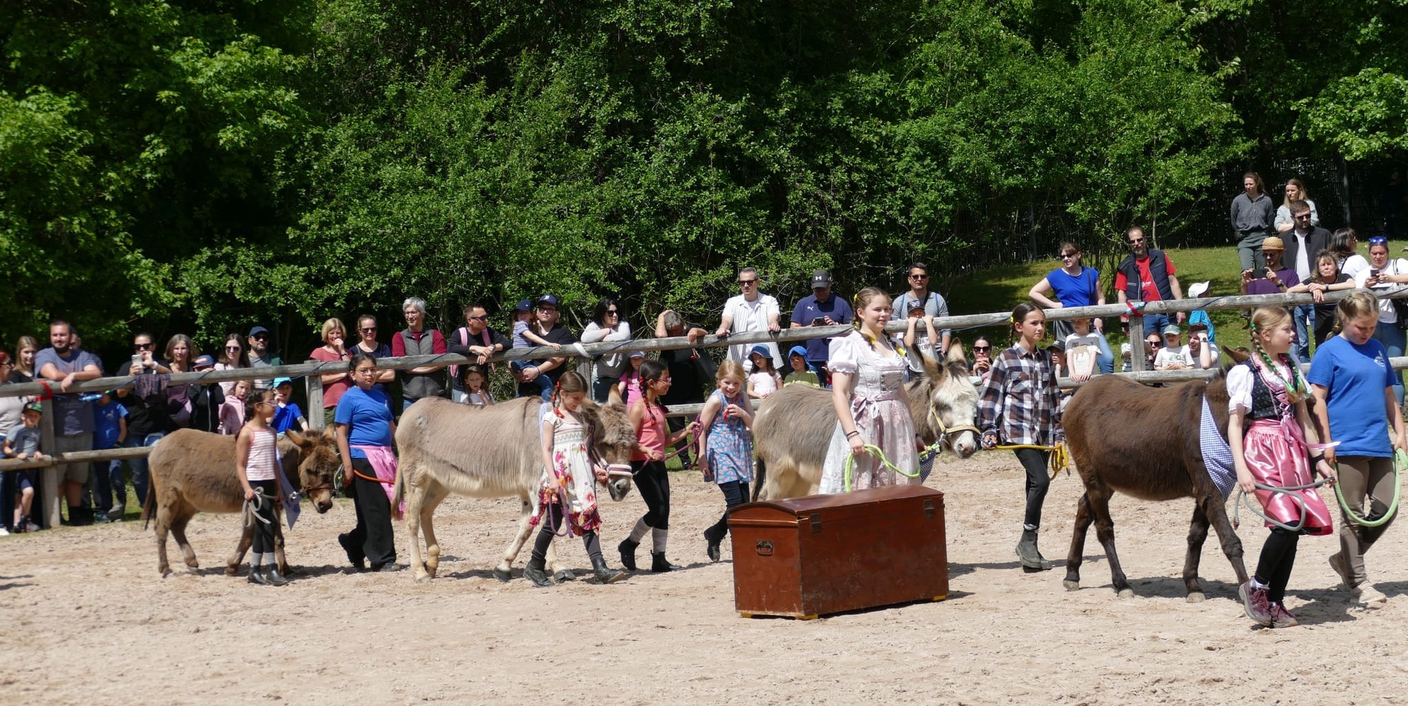 Die Kinder führten die Esel auf den Platz und hatten dabei viele Zuschauer.