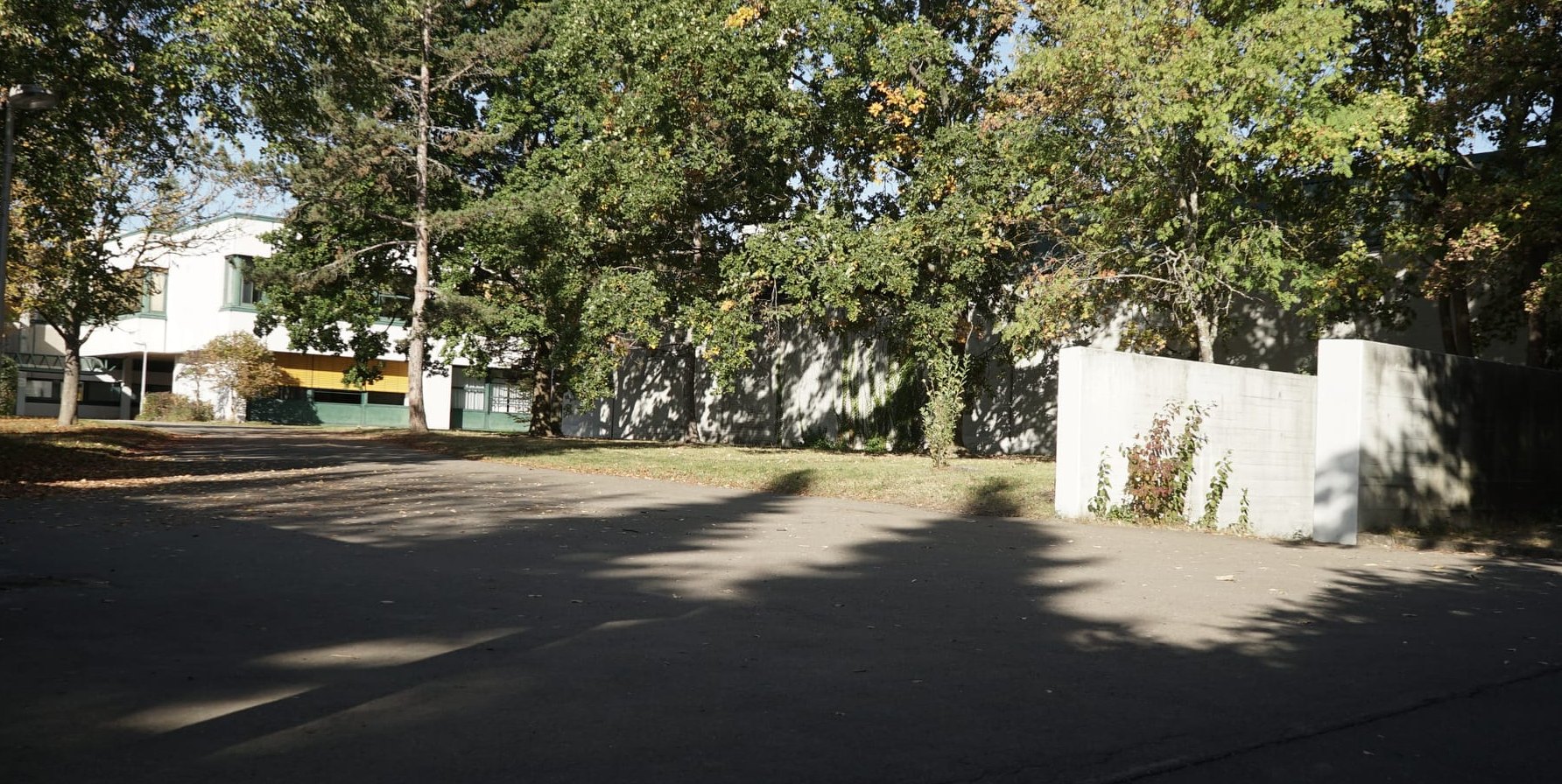 Noch stehen an der Südseite der Schulsporthalle Hinterweil Bäume (Bildmitte rechts). Dort soll bis 2028 ein Erweiterungsneuanbau für die Grundschule mit Mensa auch für die Realschule entstehen.