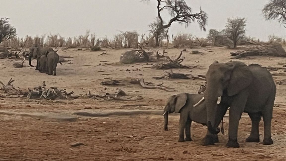 Vorfall im Sambia (Archivbild)