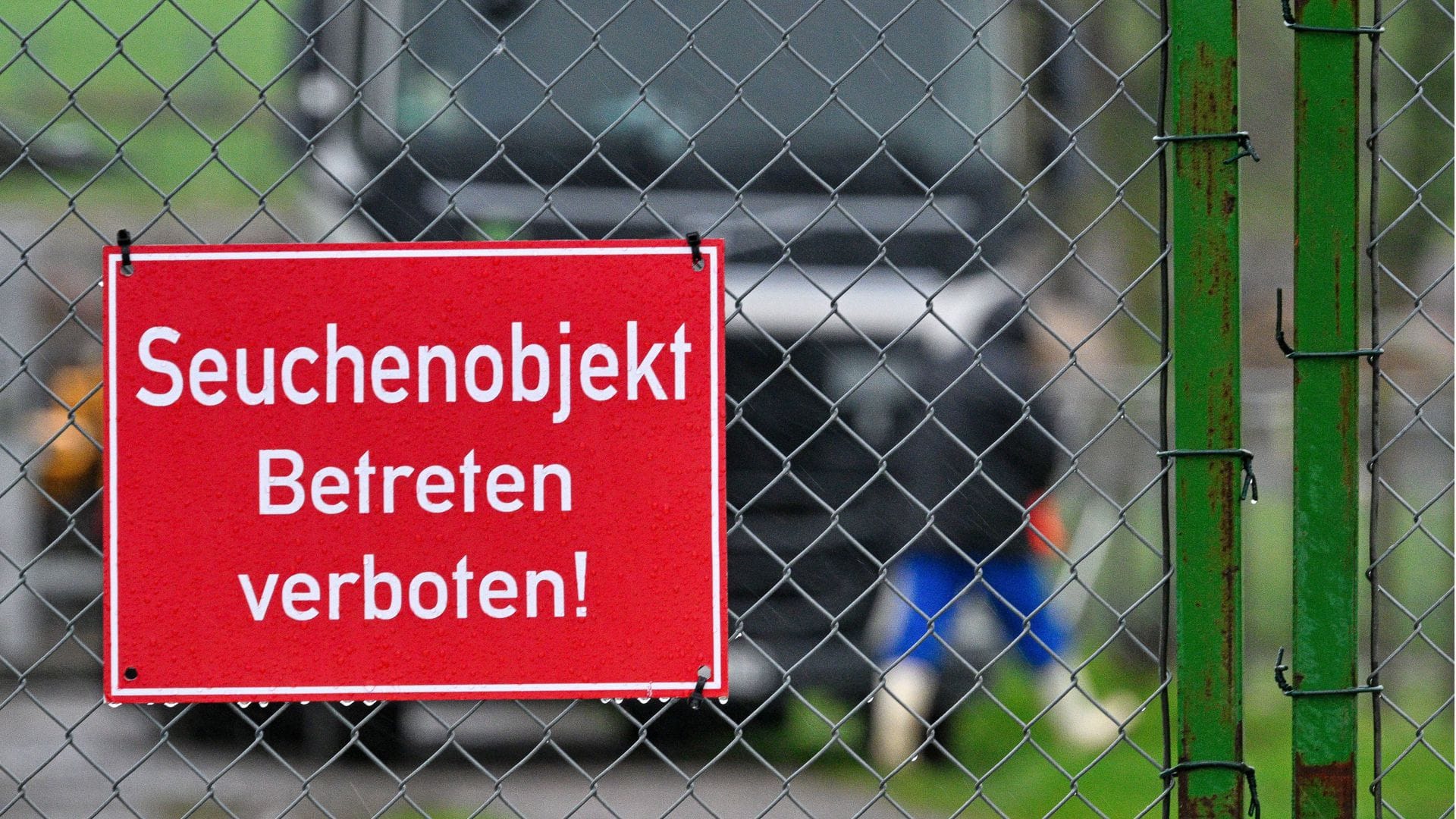 Auf dem Pommernhof in Zarnewanz im Landkreis Rostock ist die Vogelgrippe auch bekannt als Geflügelpest ausgebrochen. Über 13 000 Enten mussten hier getötet werden.