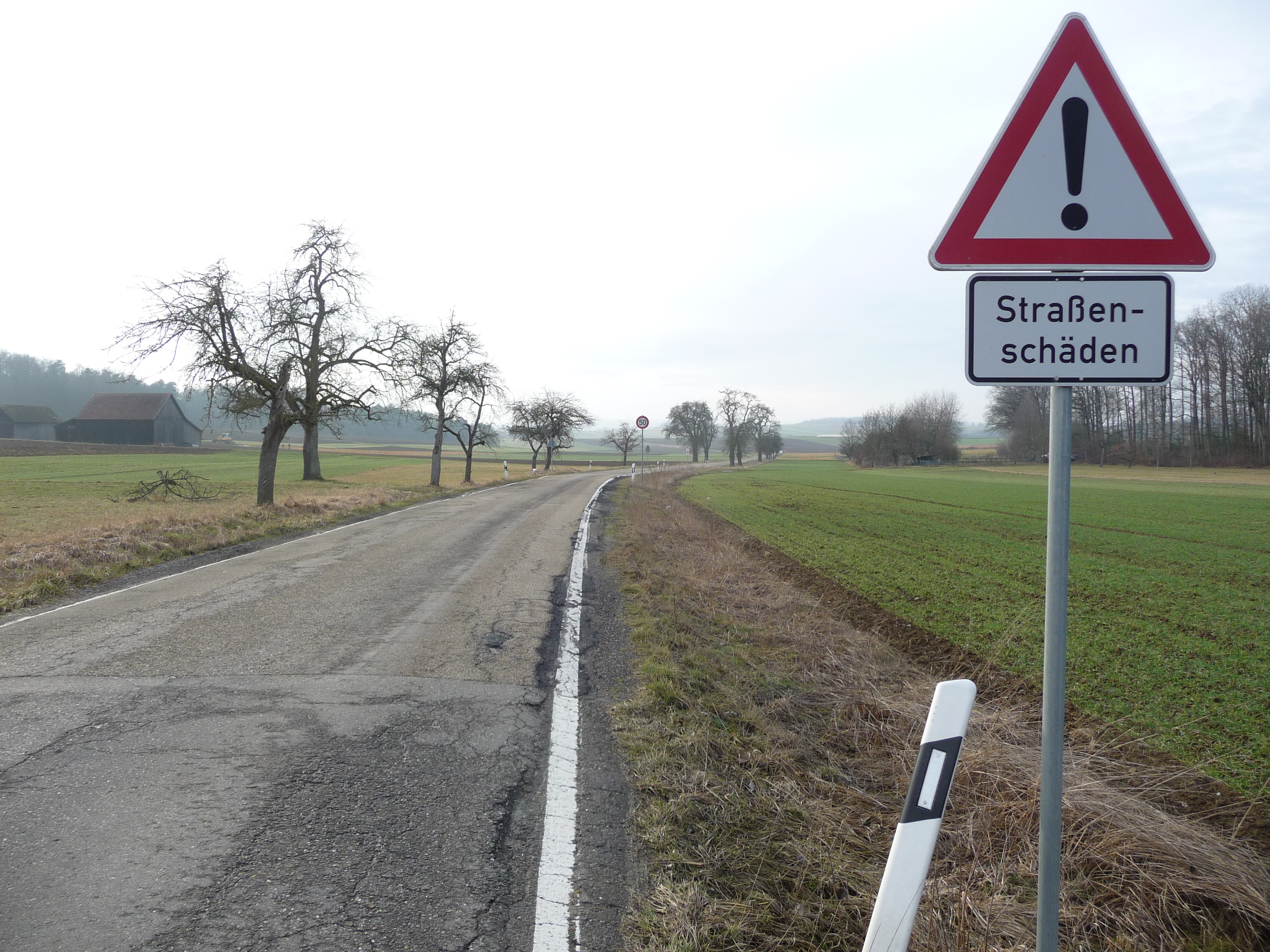Die Straße zwischen Magstadt und Schafhausen ist in einem schlechten Zustand. Bild: Reichert