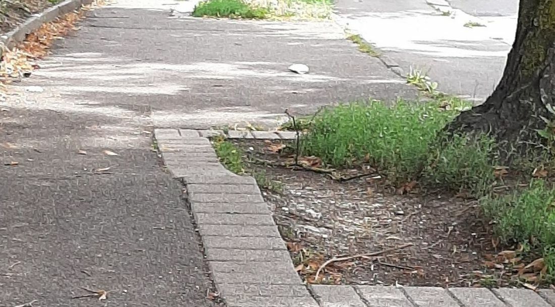Der Gehweg in der Böblinger Straße in Sindelfingen ist uneben und schmal. Bild: Elbers