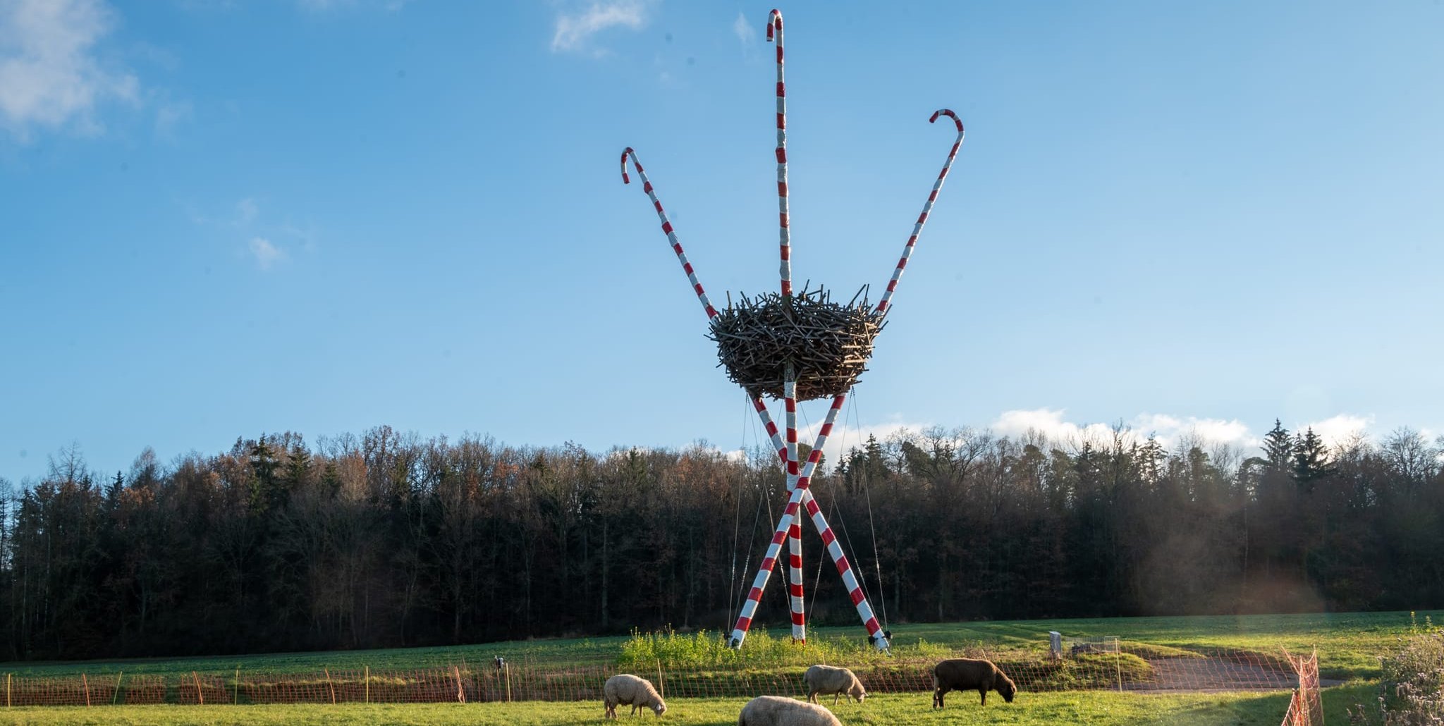 Das Vogelnest wird immer wieder neu dekoriert.