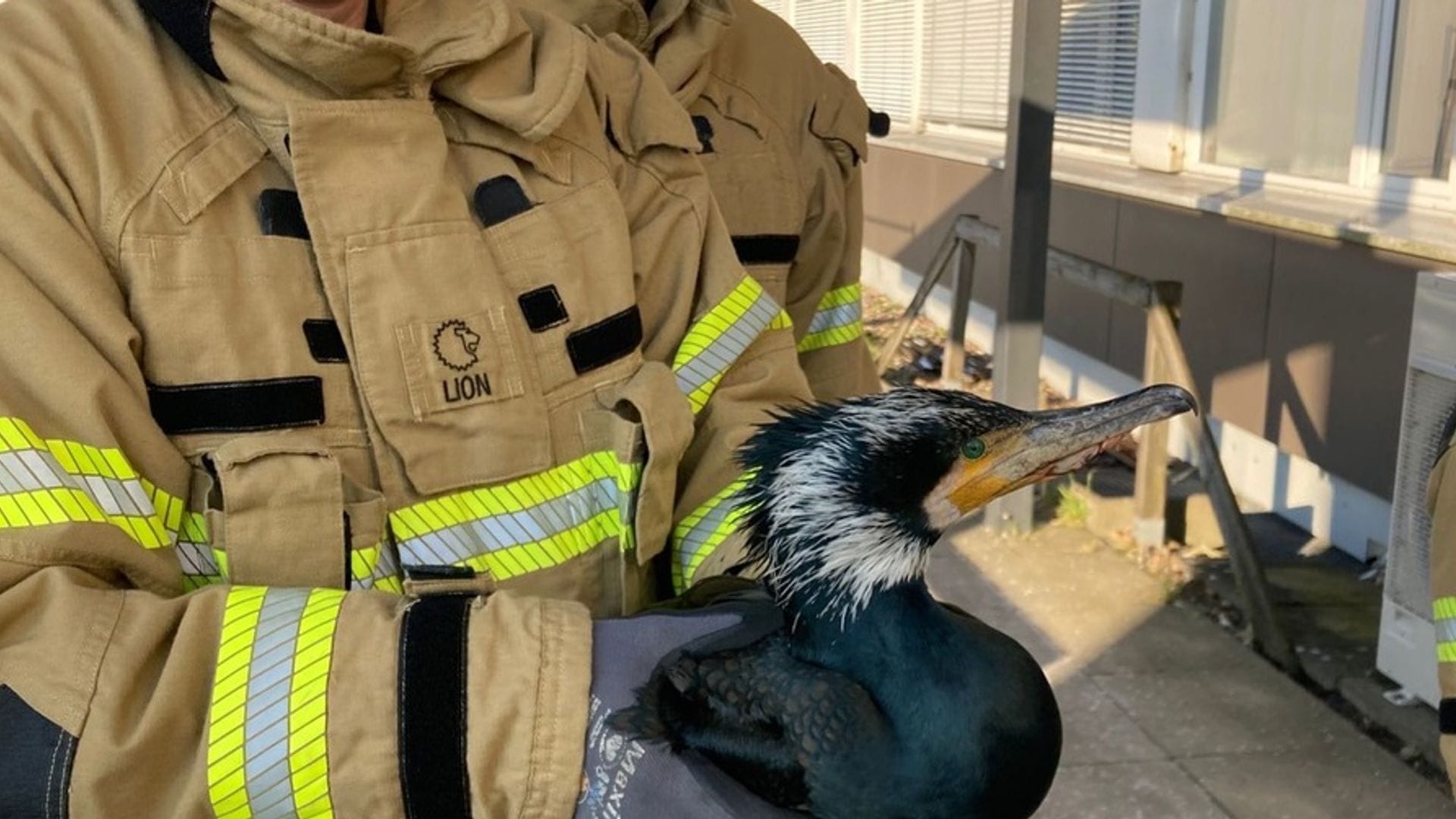 Die Feuerwehr rettet auch regelmäßig Tiere in Not.