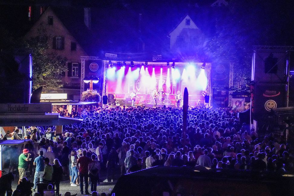 Mothership spielten die Songs von Led Zeppelin.