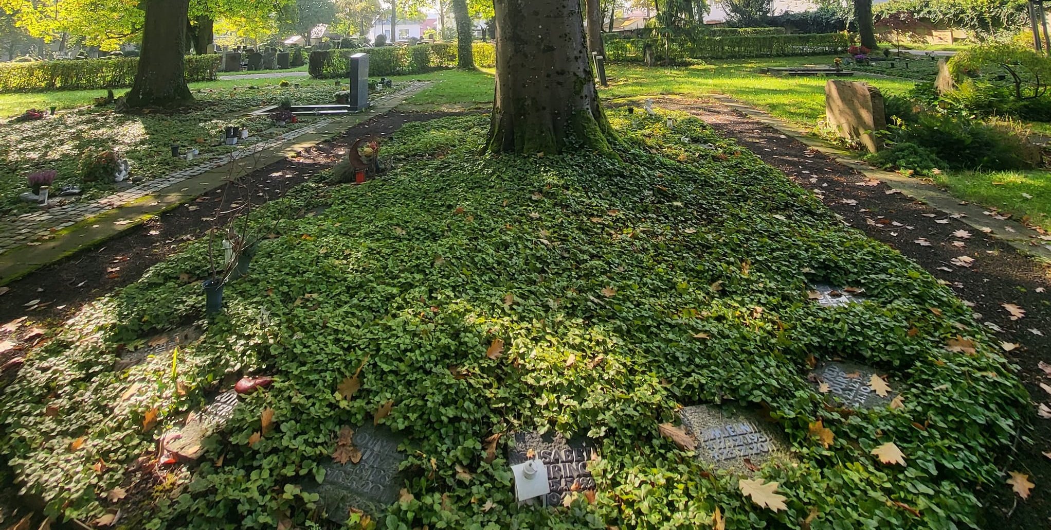Die erste Baumbeisetzung auf dem Burghaldenfriedhof fand 2011 statt. Inzwischen wurde der Bereich deutlich erweitert.