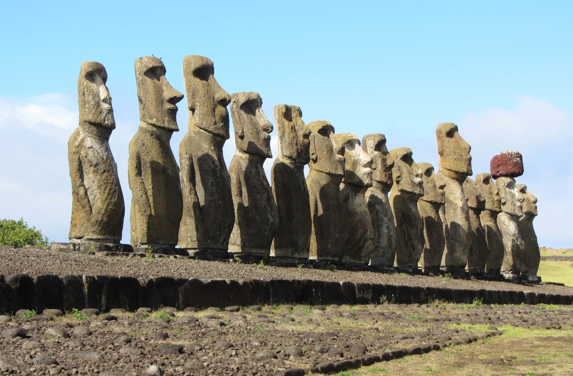 Aufgereiht wie eine Fußballmannschaft stehen die Steinfiguren da. Die Moai sind das touristische Aushängeschild der Osterinsel.