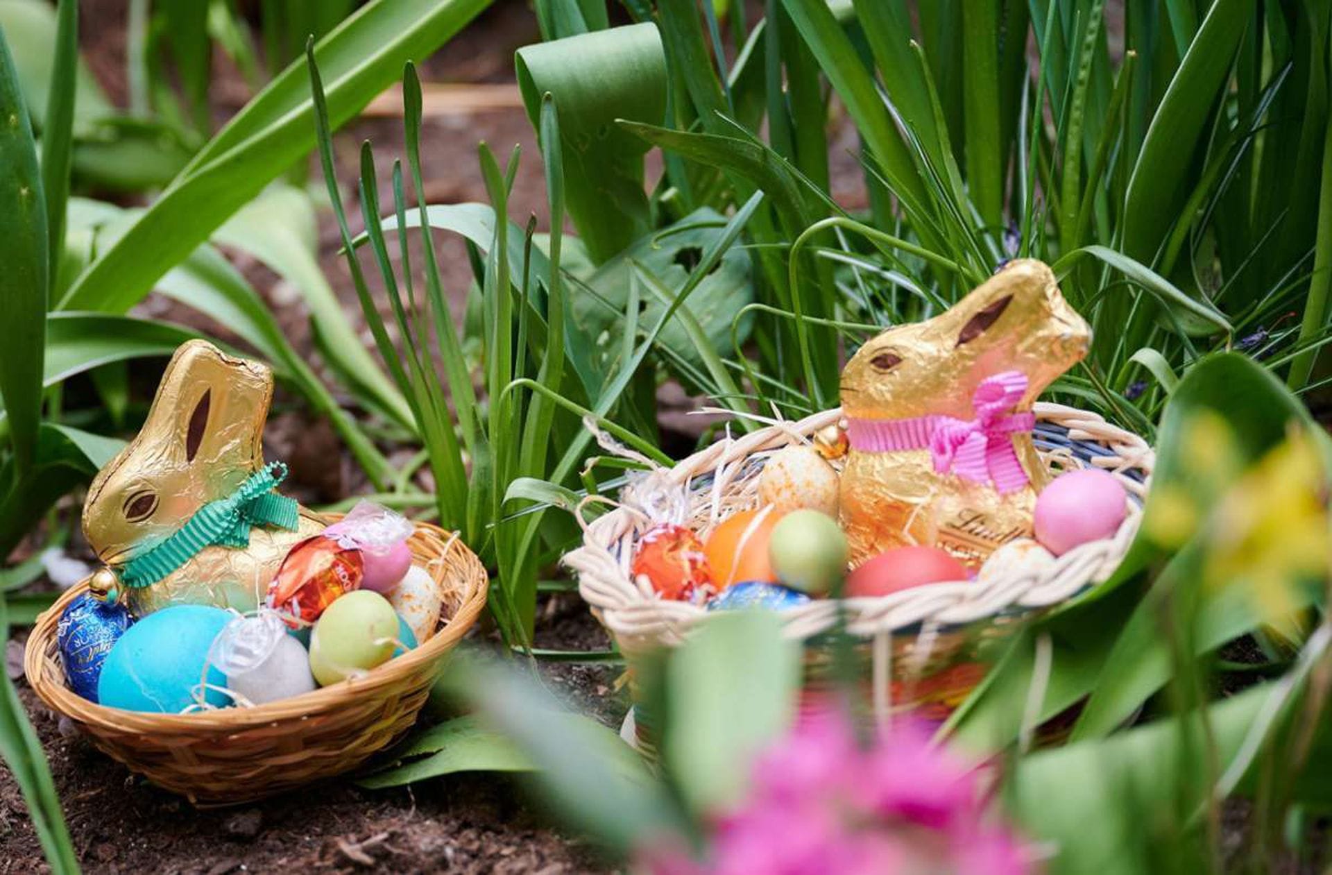 Am Morgen des Ostersonntag werden nach dem traditionellen Osterspaziergang von den Kindern die im Garten versteckten Osternester gesucht.