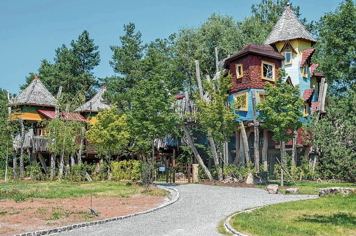Verwunschen zwischen den Bäumen des Schönbuchs liegt das Baumhaushotel der Oase Weil im Schönbuch. Bild: Nüßle