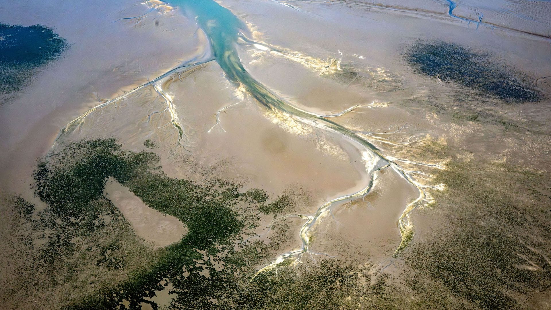 Die Situation im Wattenmeer ist einer Studie zufolge ernster als bisher angenommen. (Archivbild)