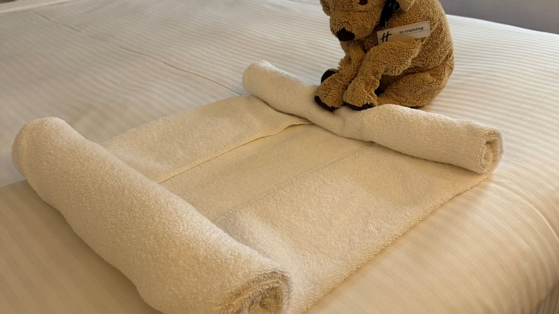 Der kleine Stoffhund Jack macht sich auch im Housekeeping nützlich, wie Hotelmitarbeiter in Posts zeigen.