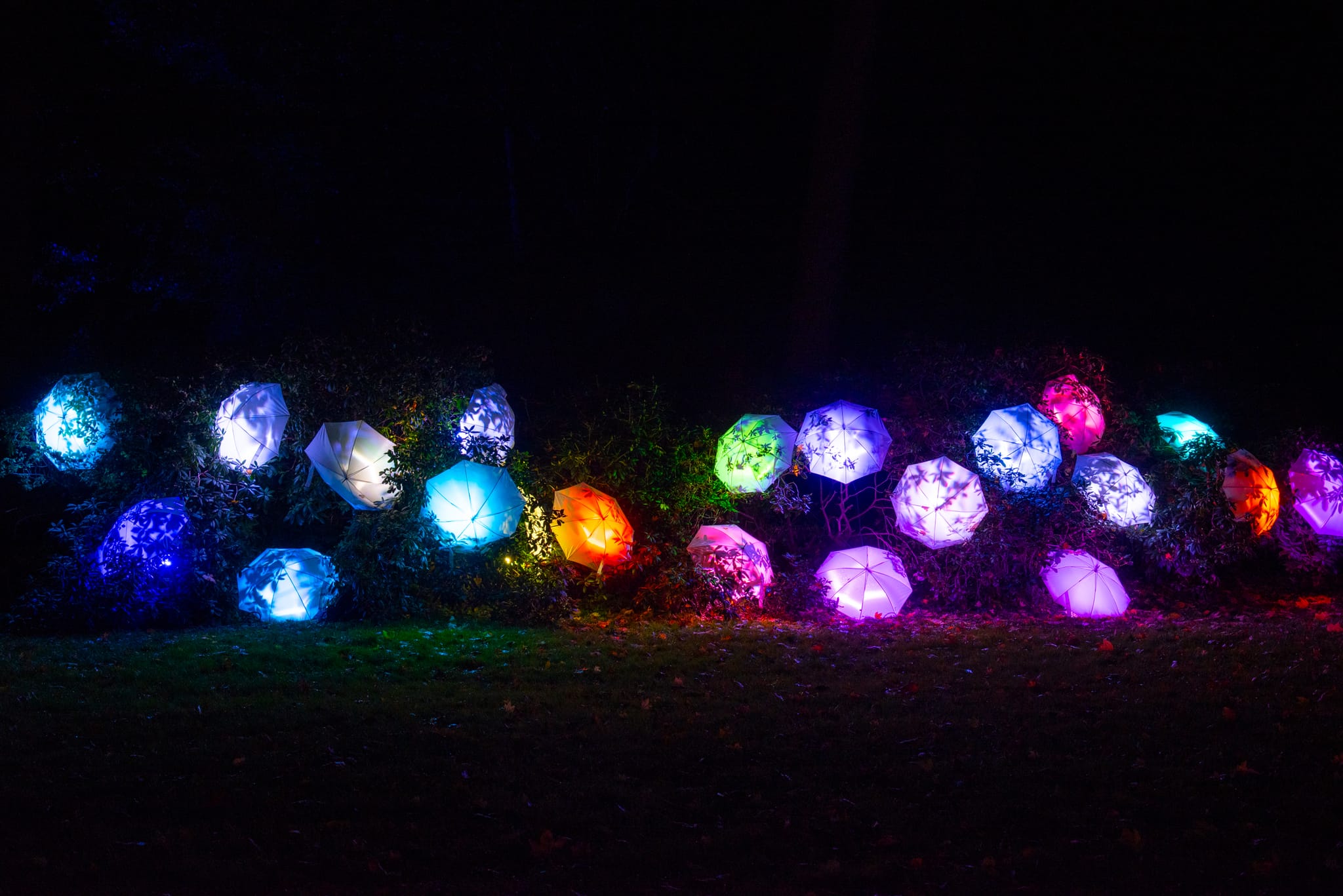 Zauberhafte bunte Schirme.