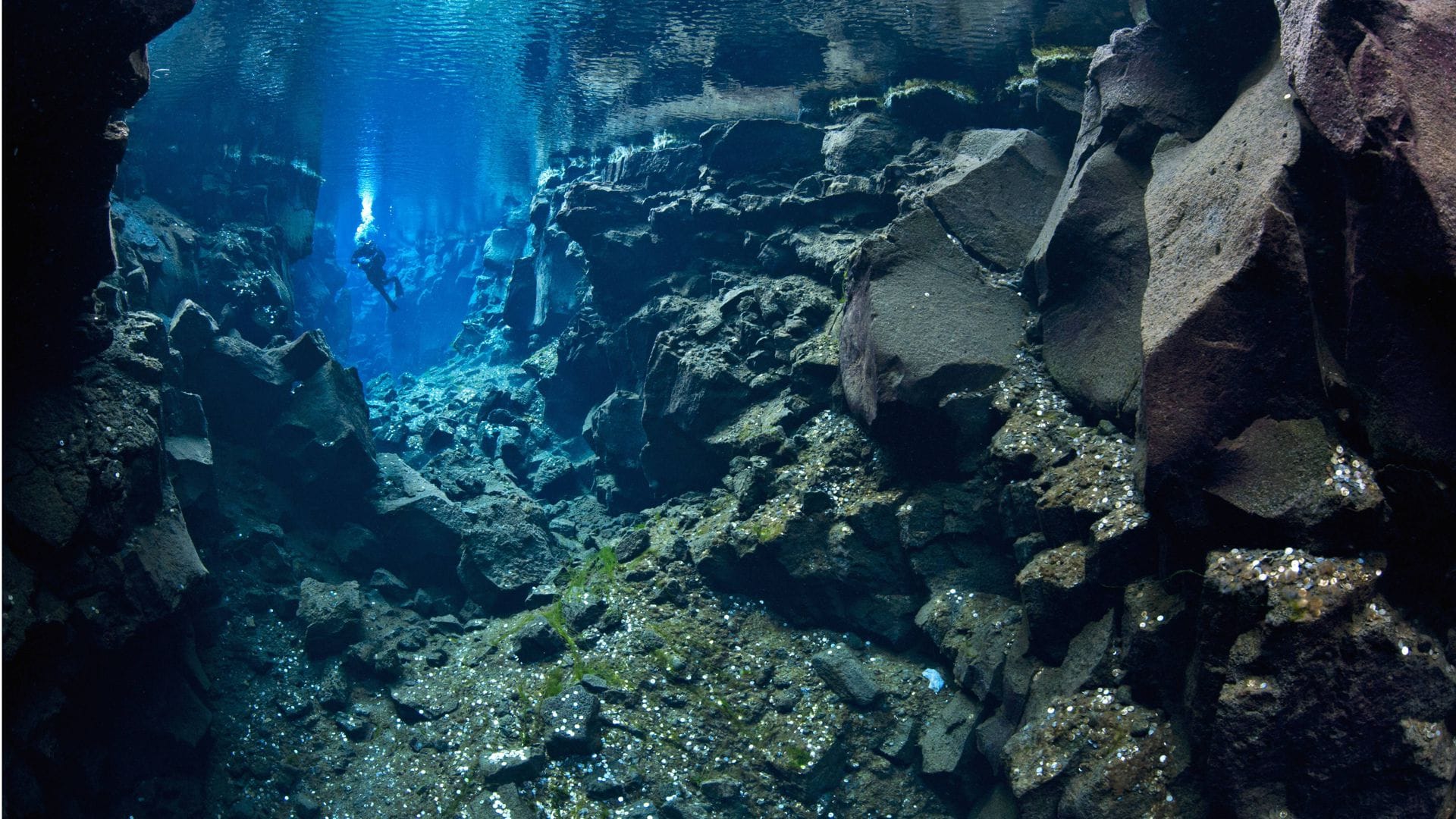 Als Unterwasser-Canyons bezeichnet man steilwandige Schluchten am Meeresboden entlang der Kontinentalränder.