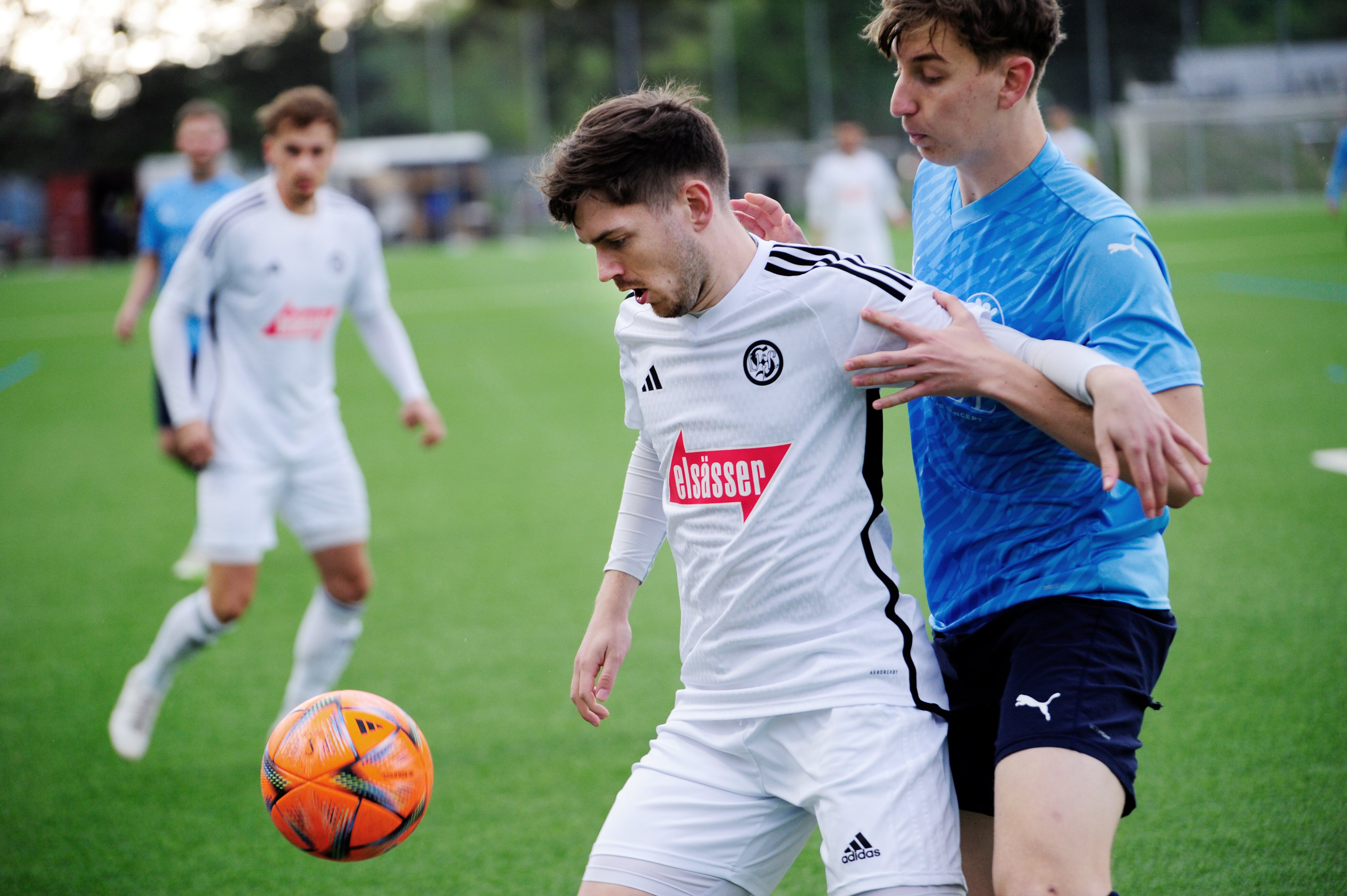 Sindelfingens Felix Franke, der das zwischenzeitliche 2:1 erzielte, hat den Ball fest im Blick.
