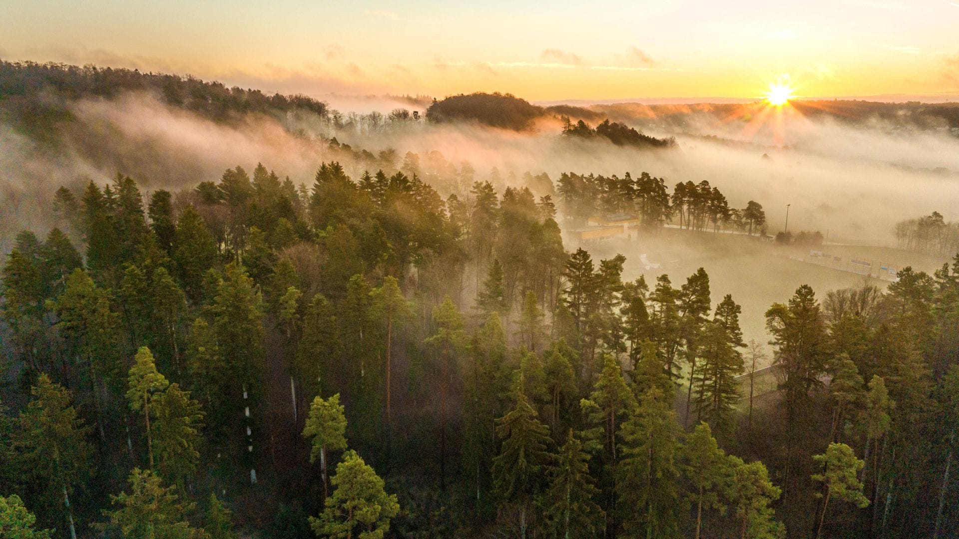 So idyllisch sieht es im Wald in Baden-Württemberg nicht mehr überall aus – der Klimawandel wird spürbar.