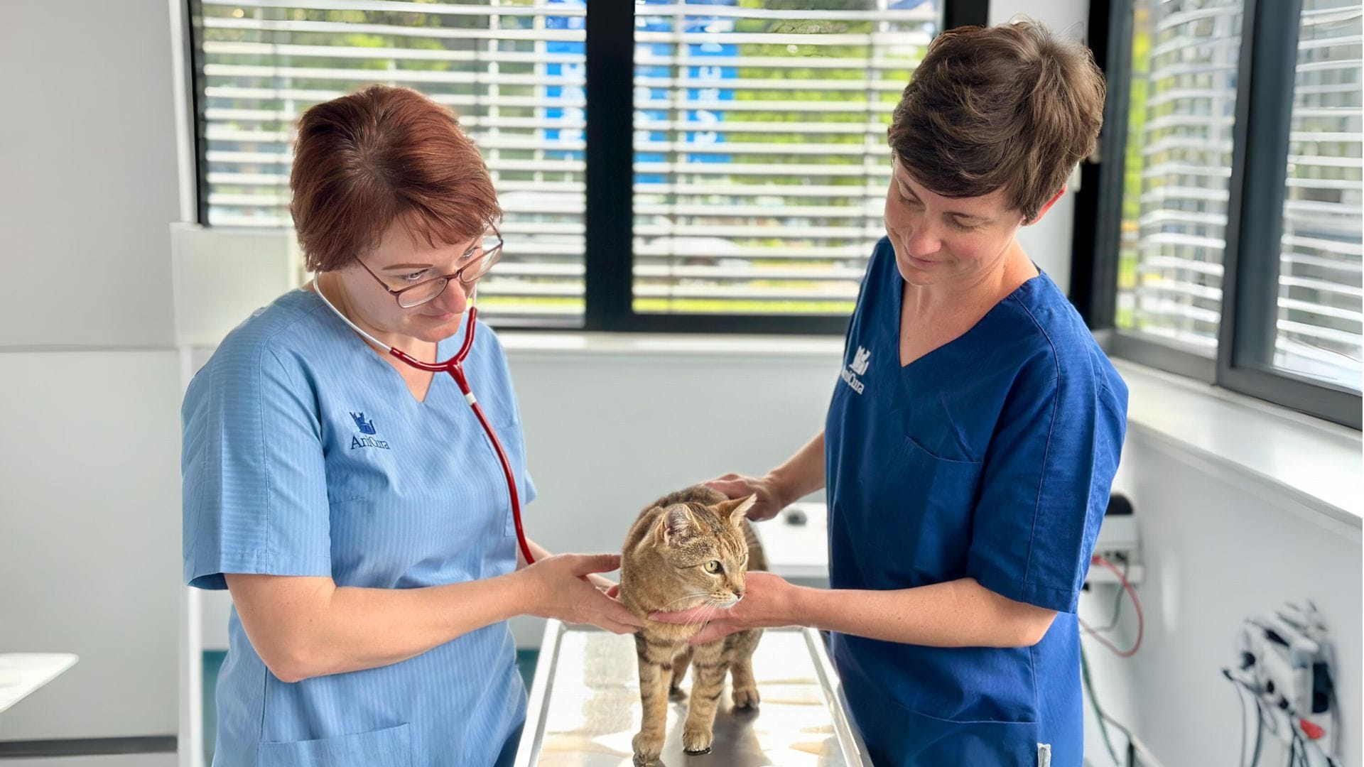 Für die Tierärztinnen Katharina Möhler und Helene Enns gehört der Umgang mit Anfeindungen in der Tierklinik Heilbronn inzwischen zum Alltag.