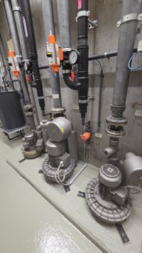 Die Filterpumpen arbeiten unermüdlich.