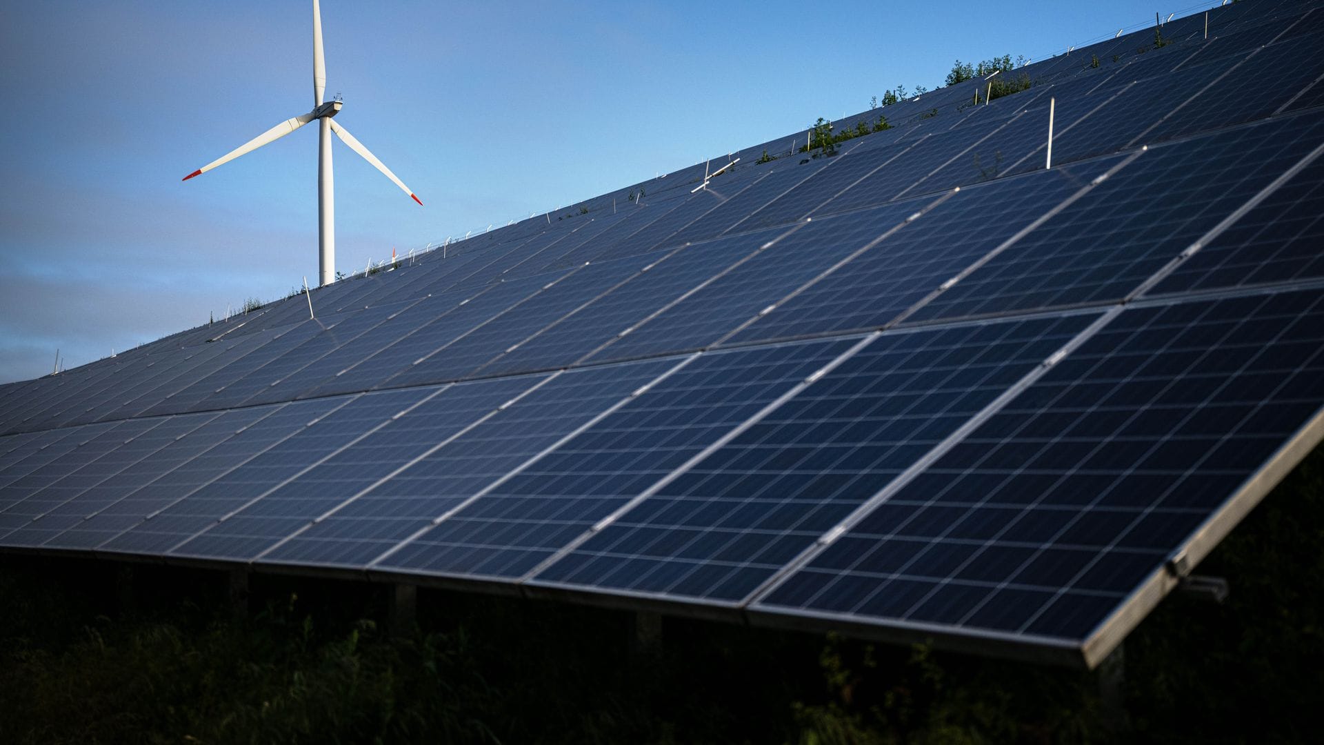 Solarpanels kommen zumeist aus China.