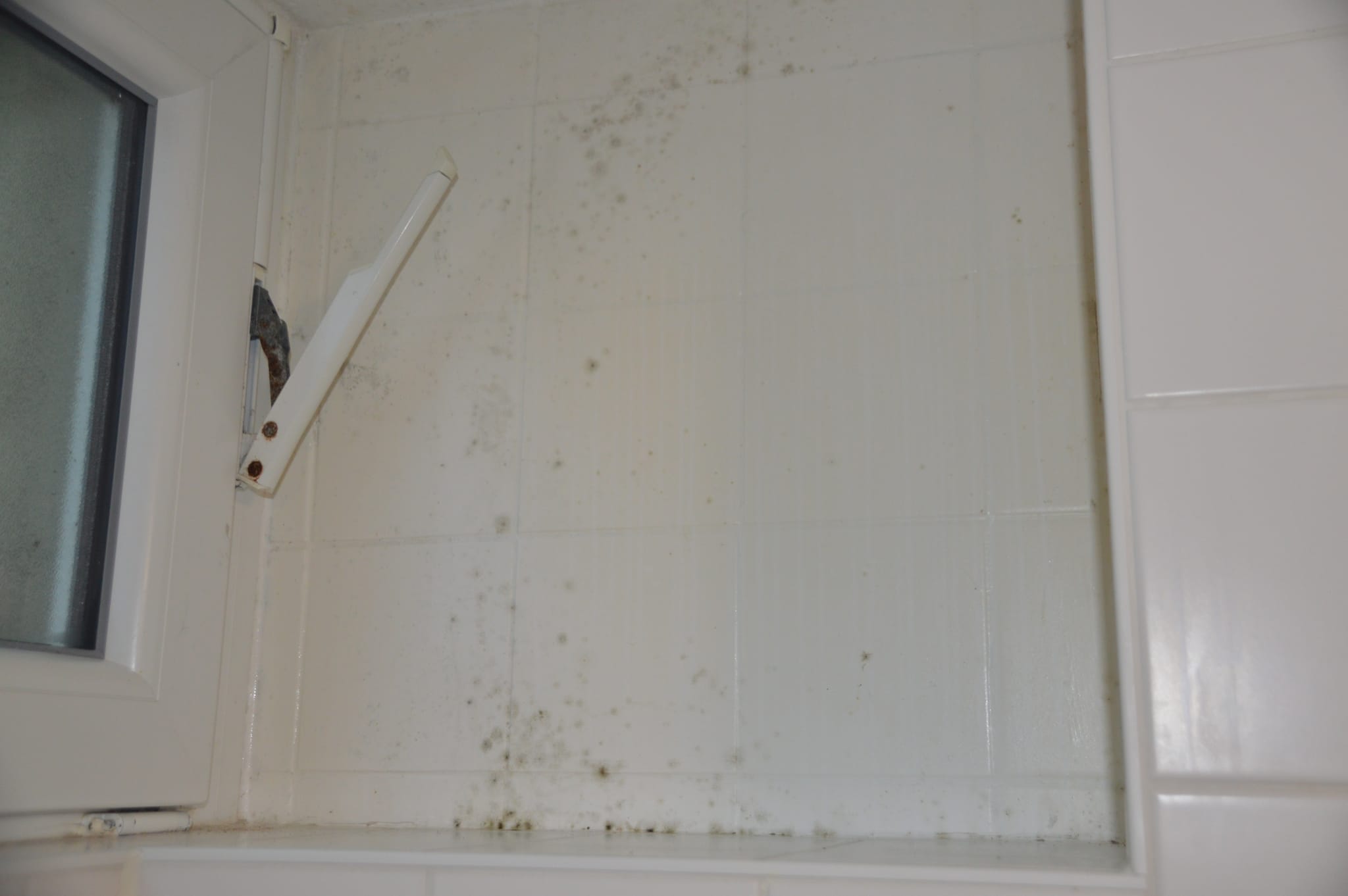 Schimmel an der Wand auf dem Jungen-WC an der Gemeinschaftsschule Goldberg.
