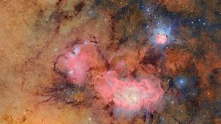 Eines der ersten Bilder zeigt den Trifidnebel.