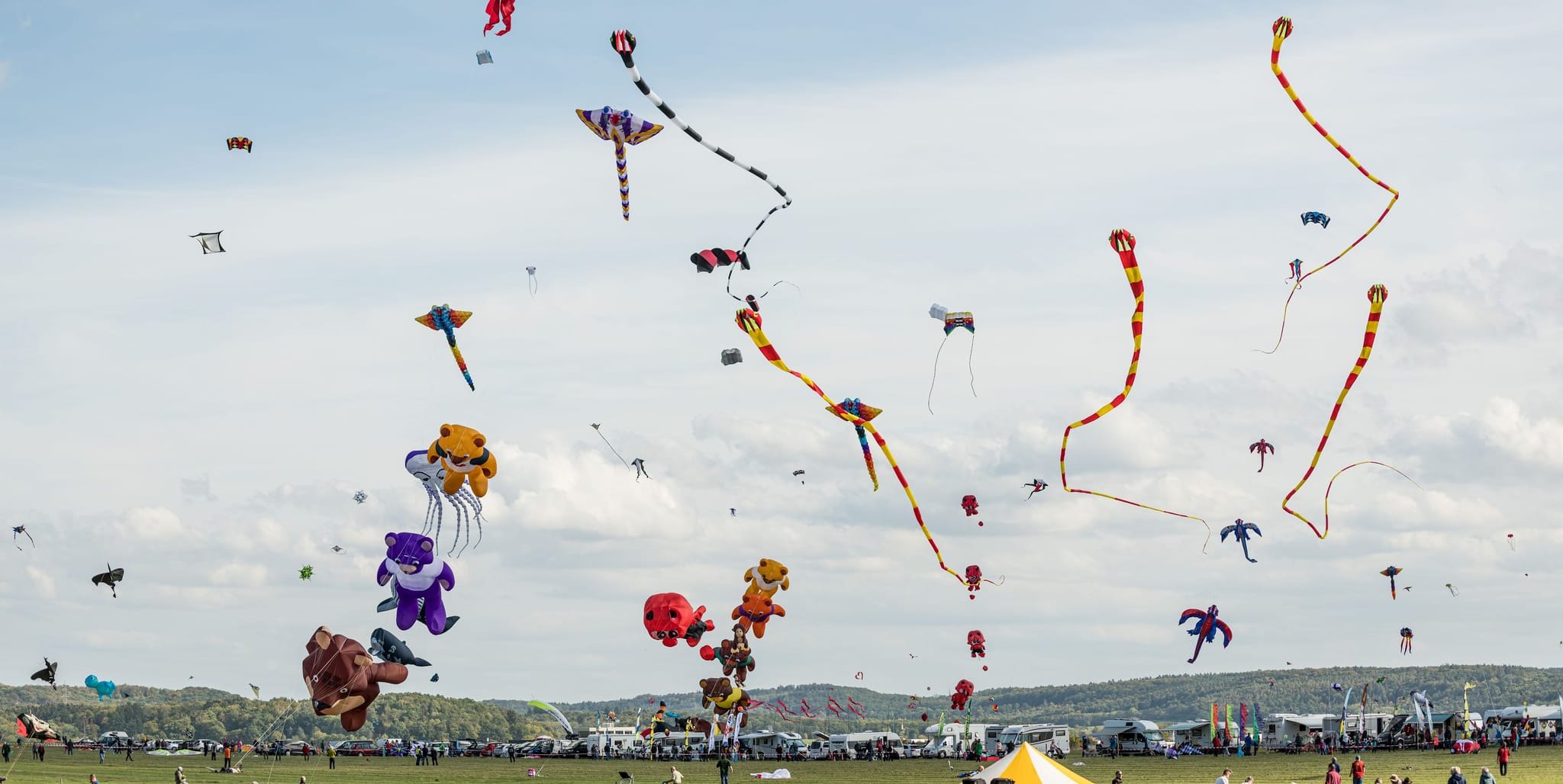 Das traditionelle Drachenfest vom SFC Malmsheim.Bild: SFC Malmsheim