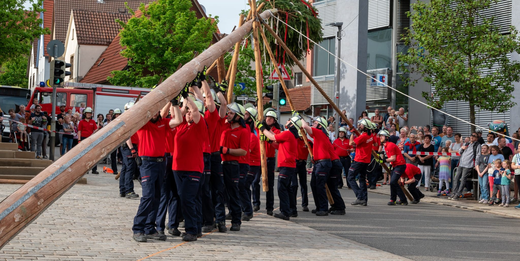 Stück für Stück wird in Holzgerlingen mit Stangen der Baum in die Höhe gebracht. 	Bild: Nüßle/Archiv