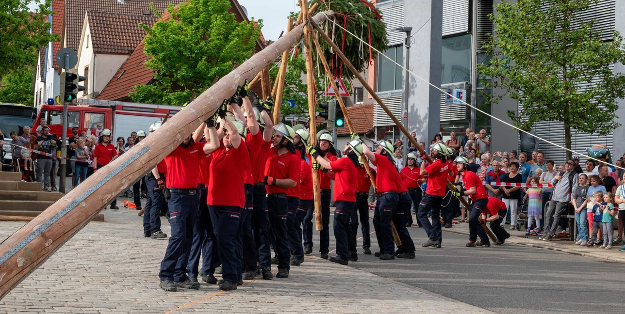 Stück für Stück wird in Holzgerlingen mit Stangen der Baum in die Höhe gebracht. Bild: Nüßle/Archiv