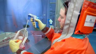 Hantavirus-Analyse im Labor – vor allem in Amerika gibt es gefährliche Varianten.