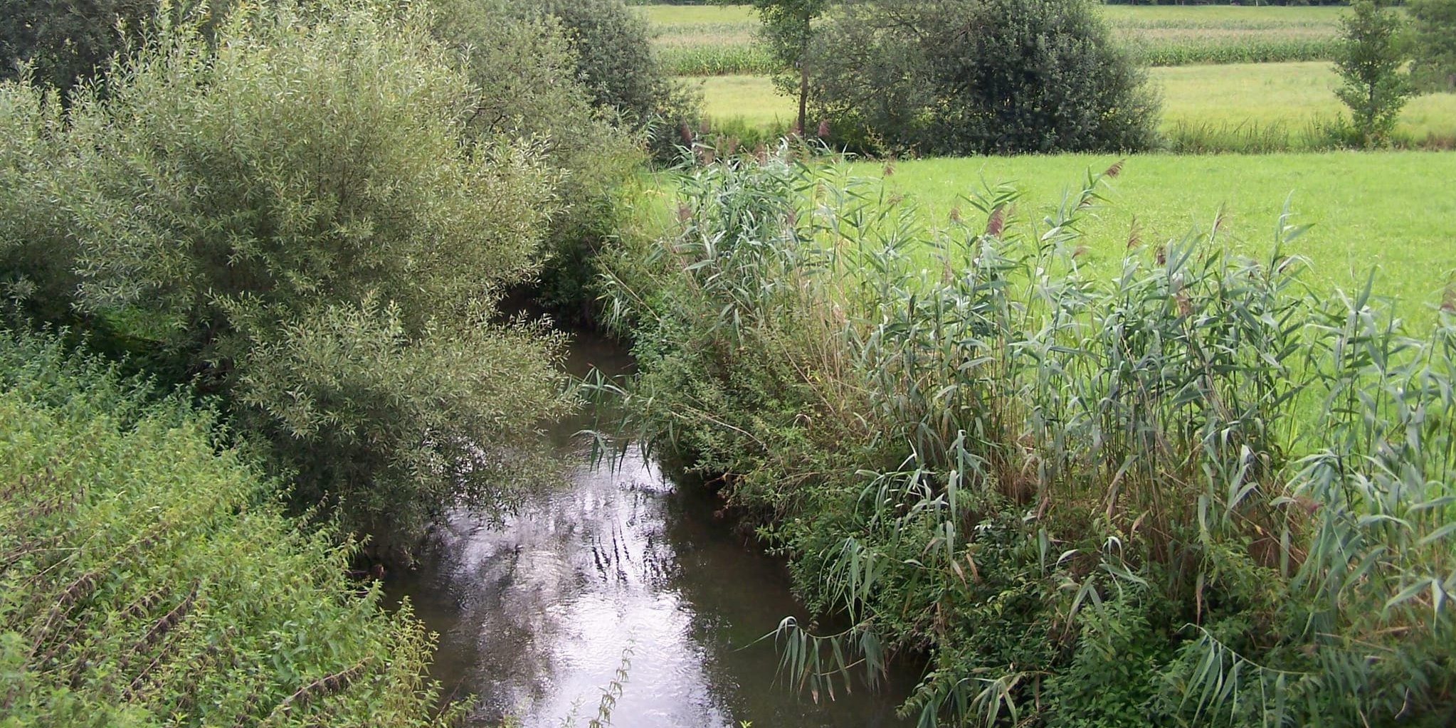 Ab 1. Juni und bis Ende September ist im Kreis Böblingen nicht erlaubt, Wasser aus Bächen und Flüssen zur Bewässerung von gärtnerischen oder landwirtschaftlichen Flächen zu entnehmen. Unser Archivbild zeigt die Würm.