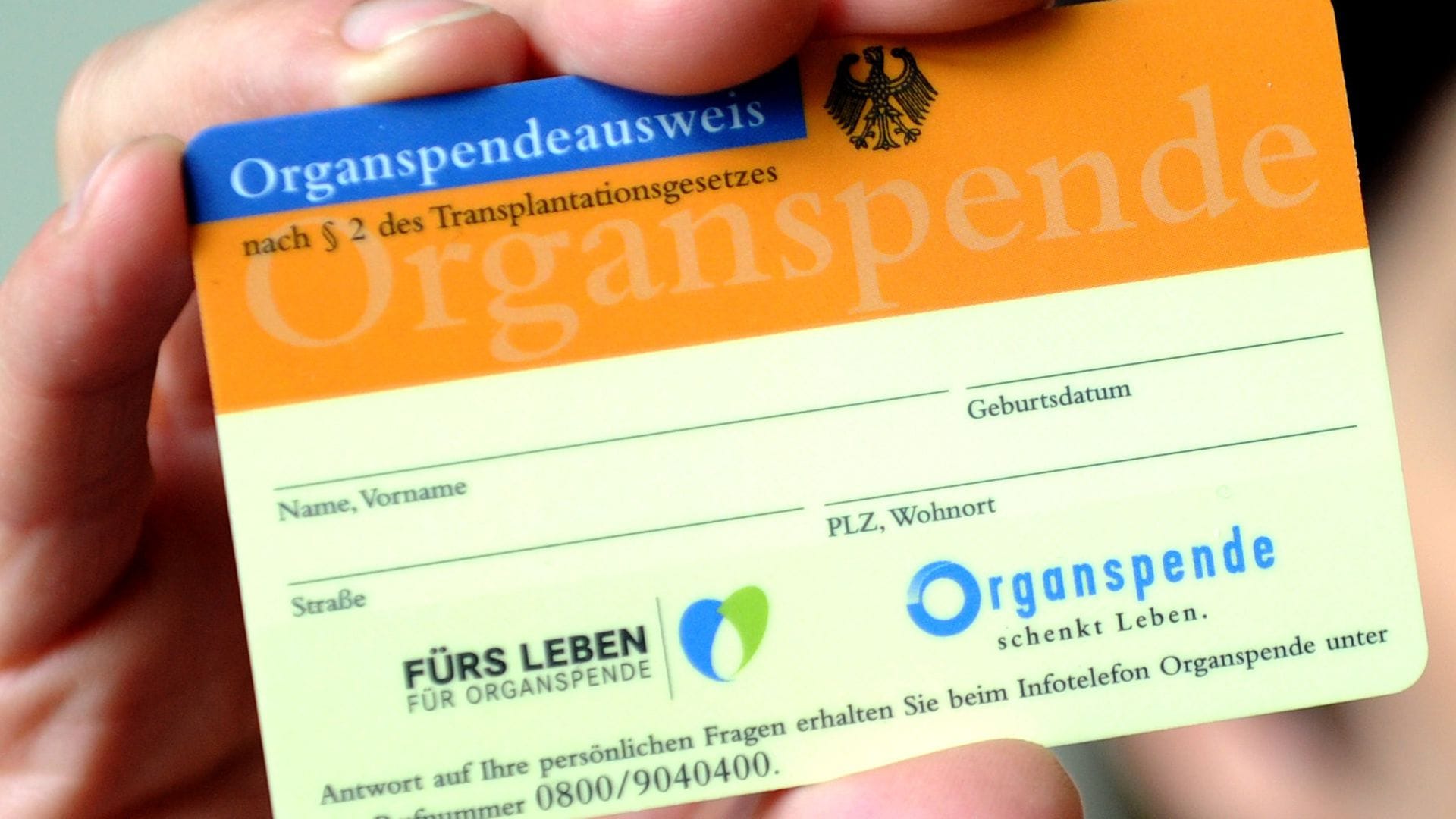 Wer im Sommer ins Ausland reist, sollte sich mit den jeweiligen Organspende-Regeln befassen (Symbolfoto).