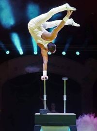 Spektakuläre Akrobatik im Herrenberger Weihnachtscircus.	Bild: Alexander Leumann